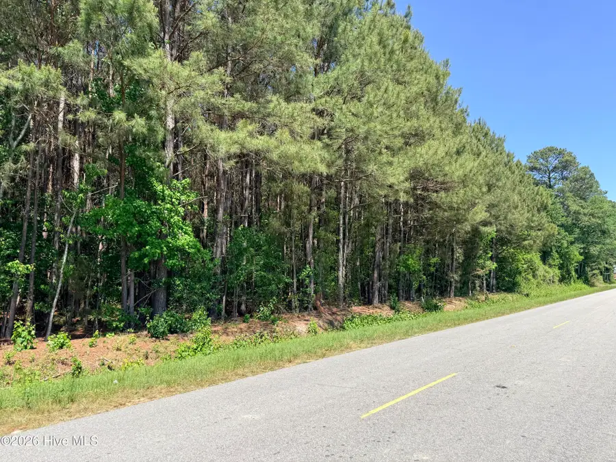 Lot 2 Mt Carmel Church Road, Autryville, NC 28318 - #3