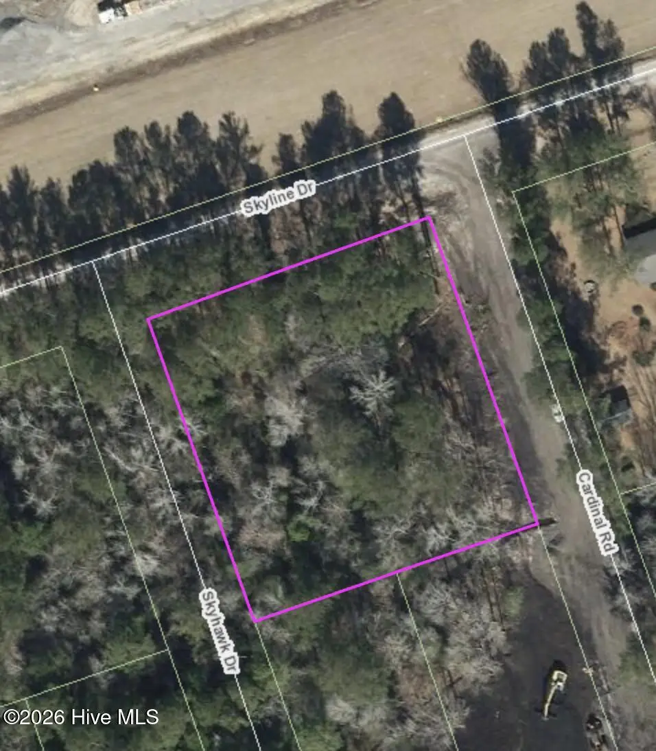 Tbd Skyline Drive, Maple Hill, NC 28454 - #1