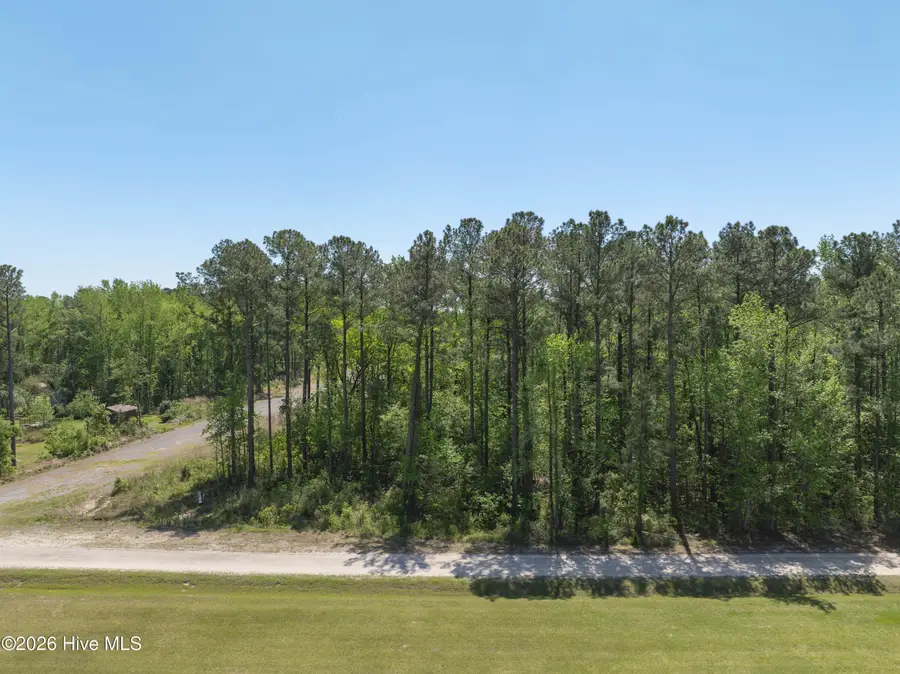 Tbd Skyline Drive, Maple Hill, NC 28454 - #2