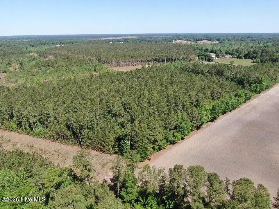 20.51 Acre Sweat Drive, Bladenboro, NC 28320 - #1