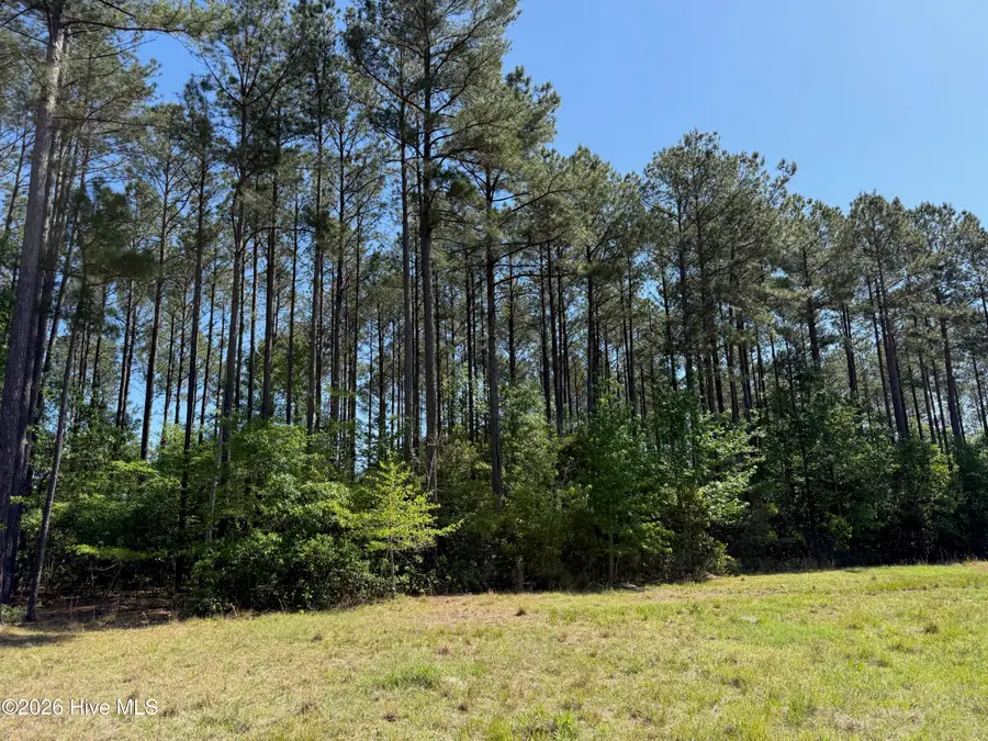 20.51 Acre Sweat Drive, Bladenboro, NC 28320 - #3