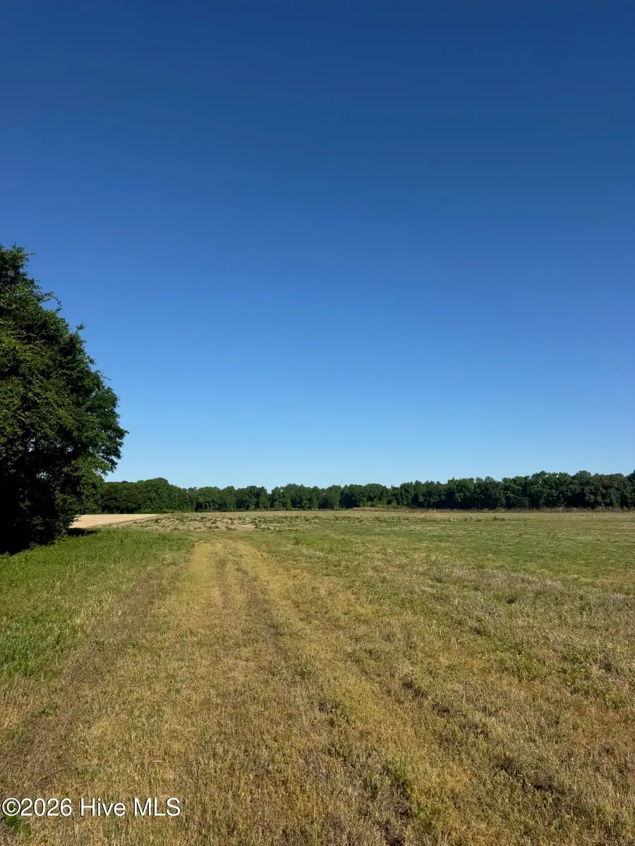 0 Thompson Avenue, Turkey, NC 28393 - #2