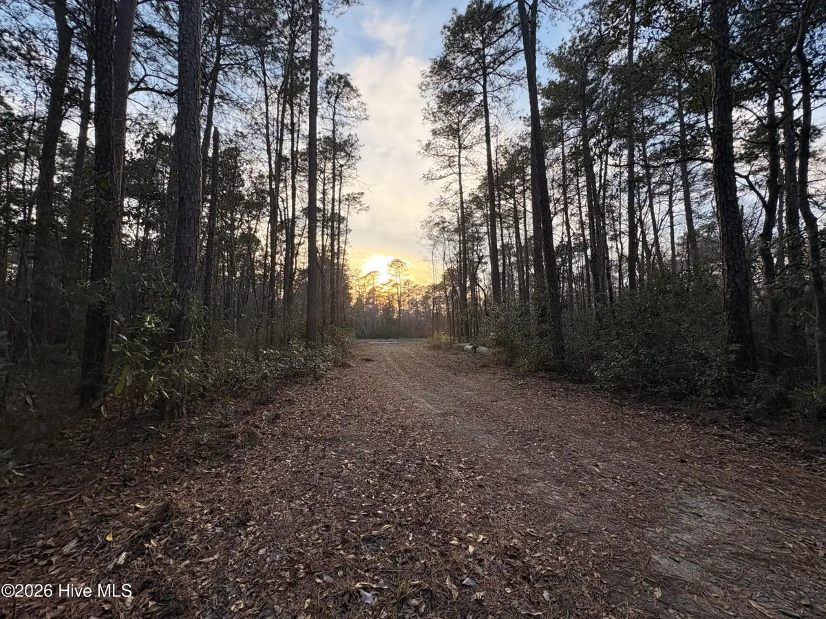 3.98 Acres Pelham Road, Willard, NC 28478 - #1