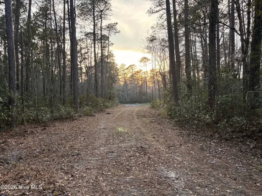 3.98 Acres Pelham Road, Willard, NC 28478 - #2