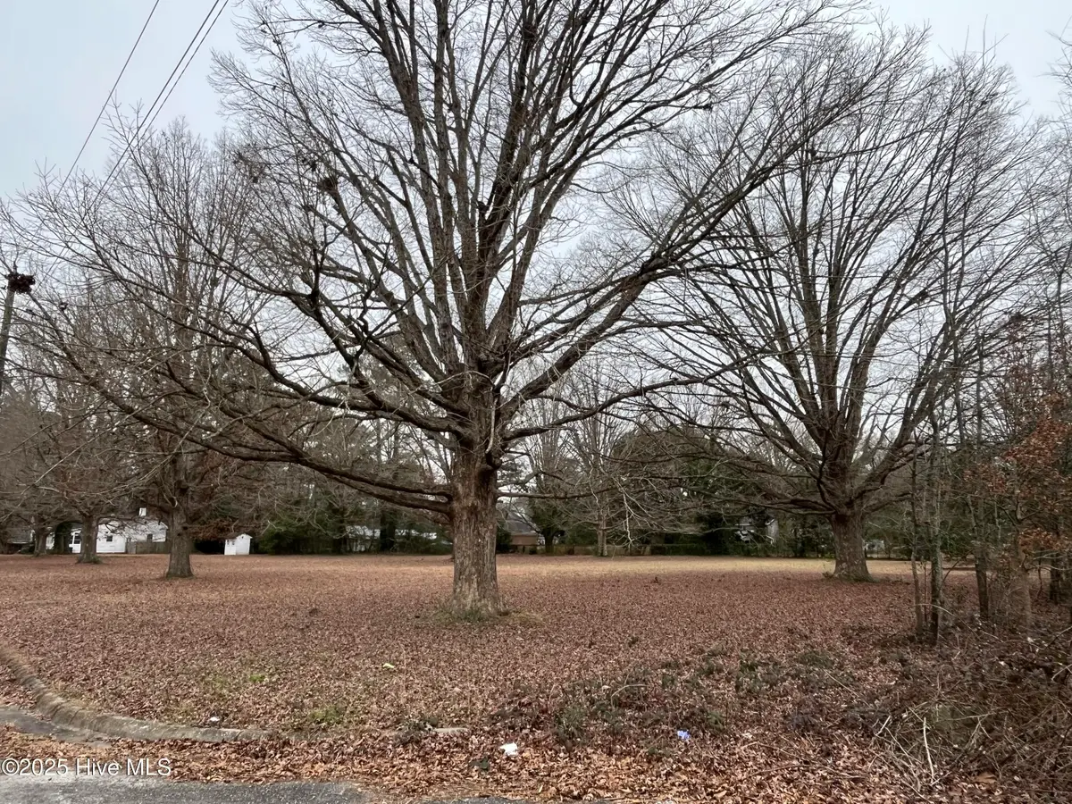 1 Corner Fairly & Lanoca Avenue, Laurinburg, NC 28352 - #1