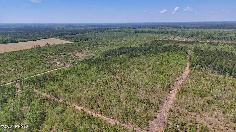 0 Guinea Mill Road, Ernul, NC 28527 - #3