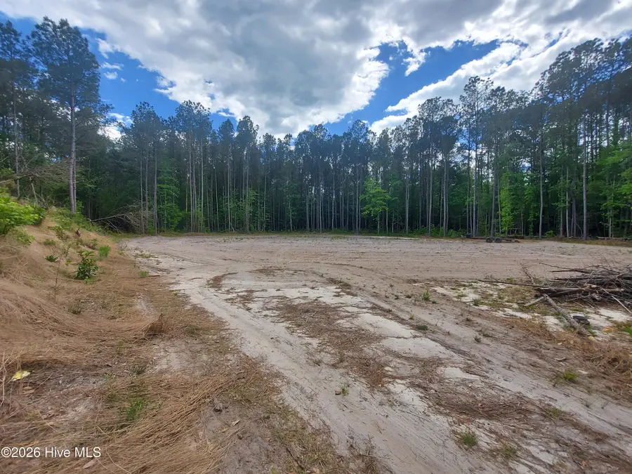 000 Harrell Road, Burgaw, NC 28425 - #2