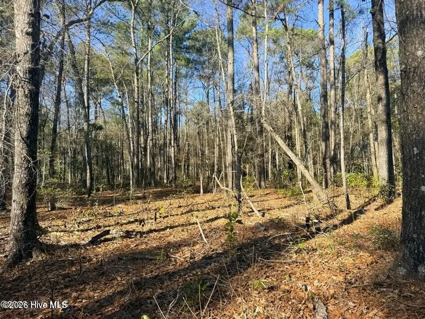 Lot 4 Peach Court, Burgaw, NC 28425 - #3