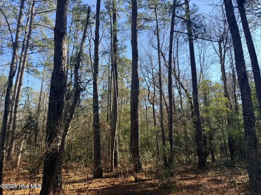 Lot 5 Peach Court, Burgaw, NC 28425 - #2