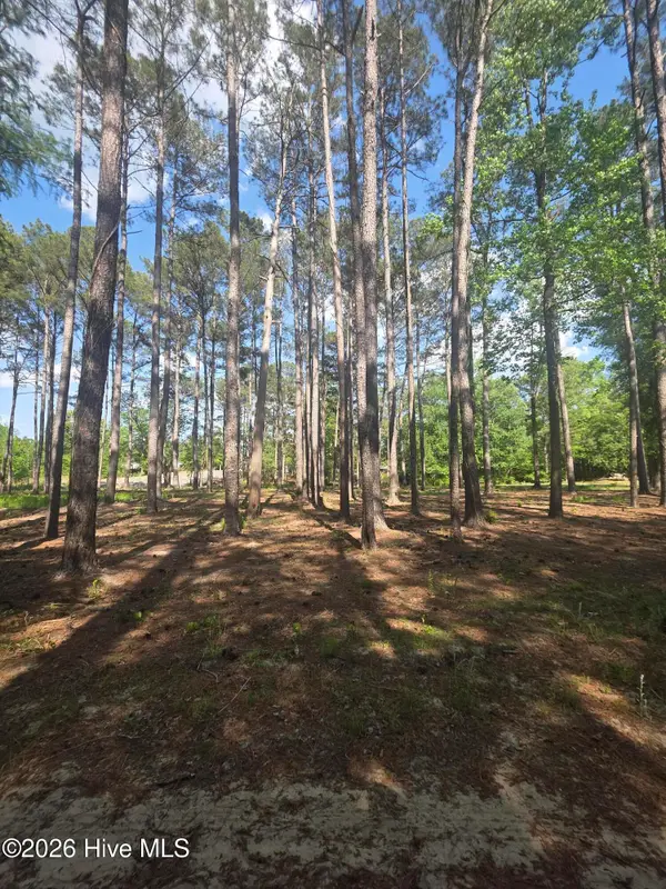 Lot #46 Juniper Lane, Currie, NC 28435