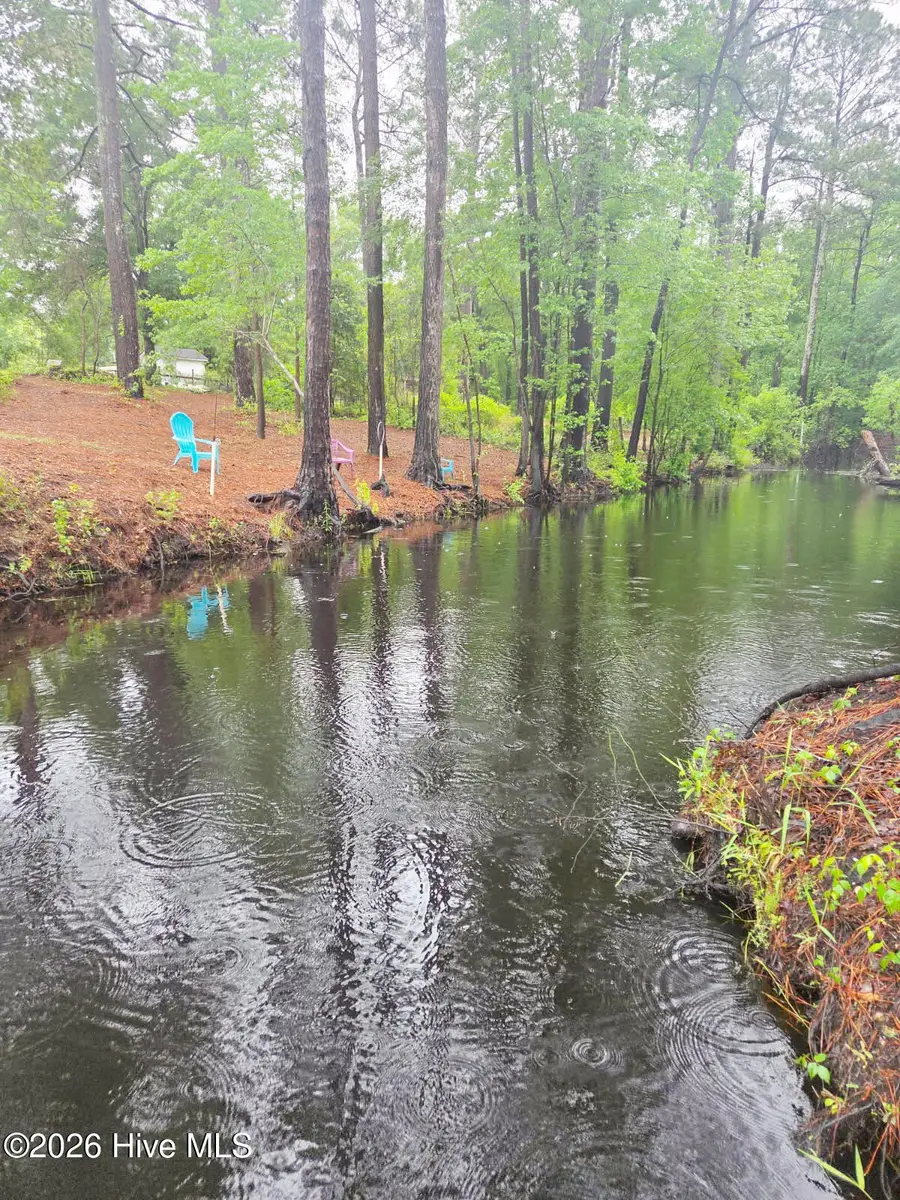 Lot #46 Juniper Lane, Currie, NC 28435 - #2
