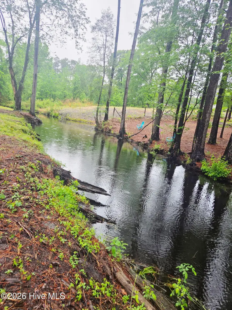 Lot #46 Juniper Lane, Currie, NC 28435 - #3