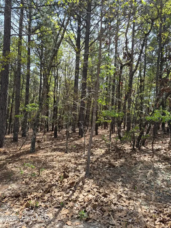 4 Brassie Lane, Foxfire Village, NC 27281