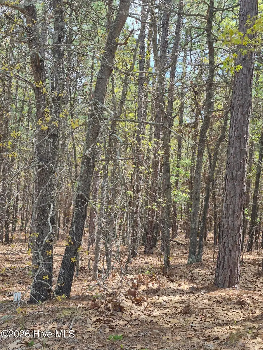 4 Brassie Lane, Foxfire, NC 27281 - #2