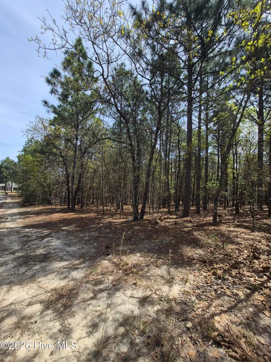 4 Brassie Lane, Foxfire, NC 27281 - #3