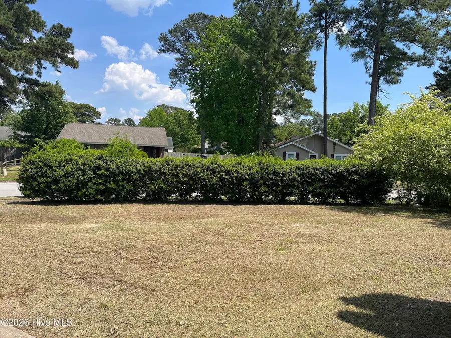 502 S Pine Cone Lane, Jacksonville, NC 28546 - #3