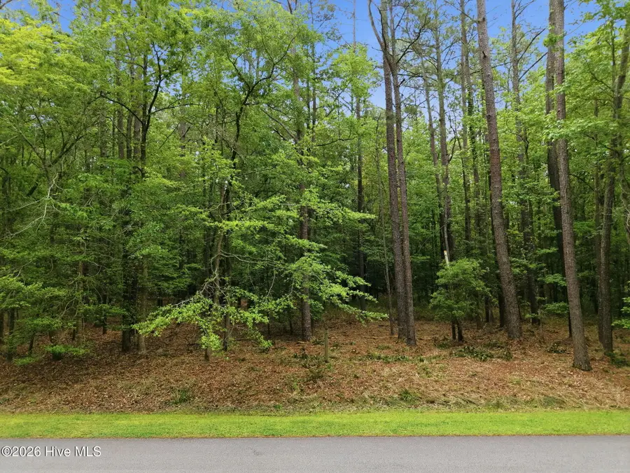 411 Pamlico River Drive, Washington, NC 27889 - #2