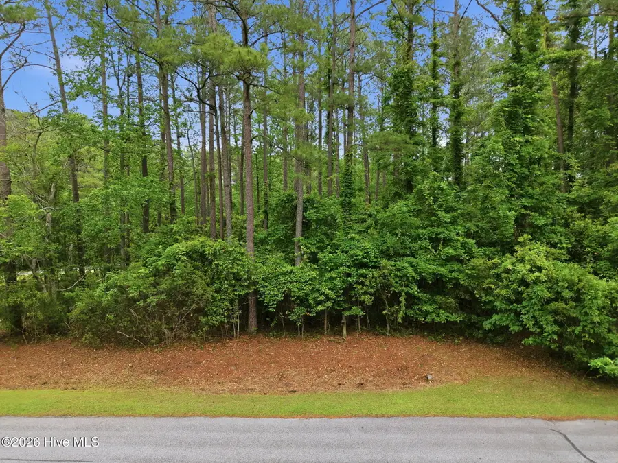 111 Live Oak Lane, Washington, NC 27889 - #3