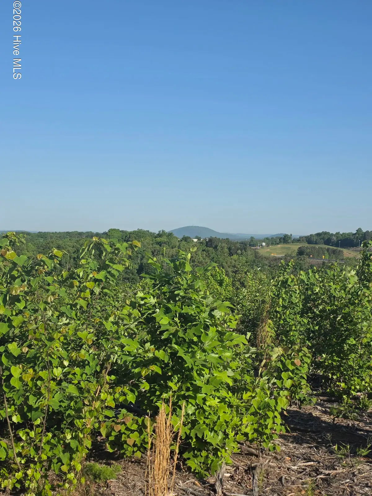 1618 Skeen View Road, Asheboro, NC 27205 - #1