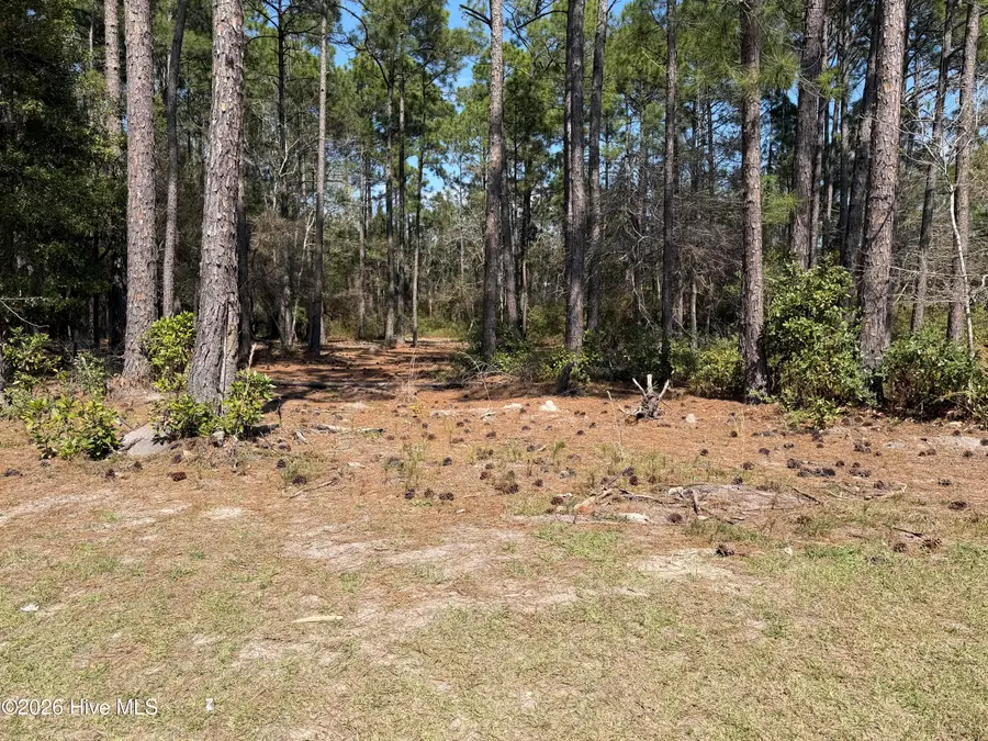 6786 Holton Place, Ocean Isle Beach, NC 28469 - #2