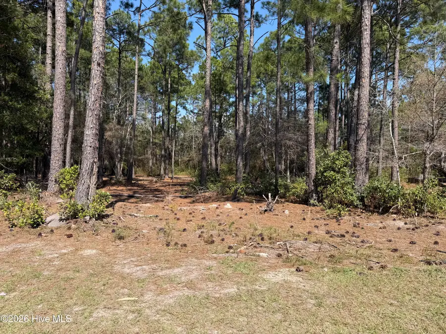 6786 Holton Place, Ocean Isle Beach, NC 28469 - #3