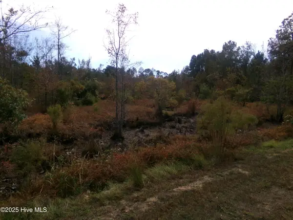 Lot  44964 Big Island Road, White Oak, NC 28399