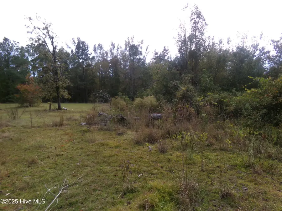 Lot  44964 Big Island Road, White Oak, NC 28399 - #3