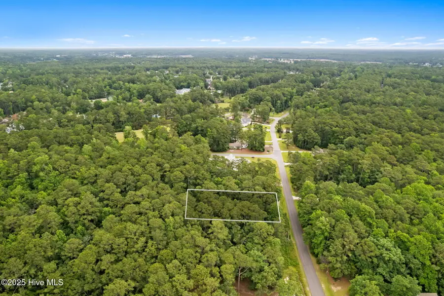 173 Country Club Drive, Shallotte, NC 28470 - #2