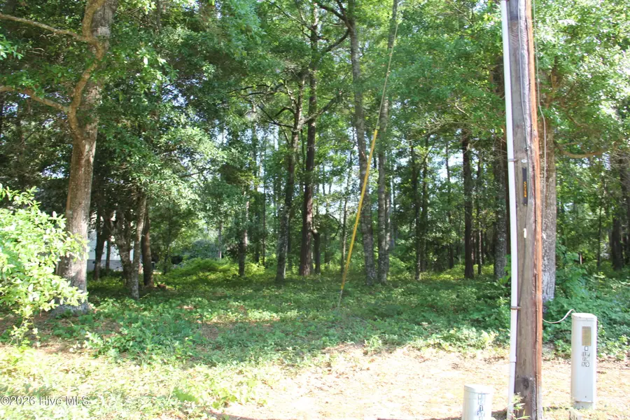3406 Marina Drive Se, Bolivia, NC 28422 - #2