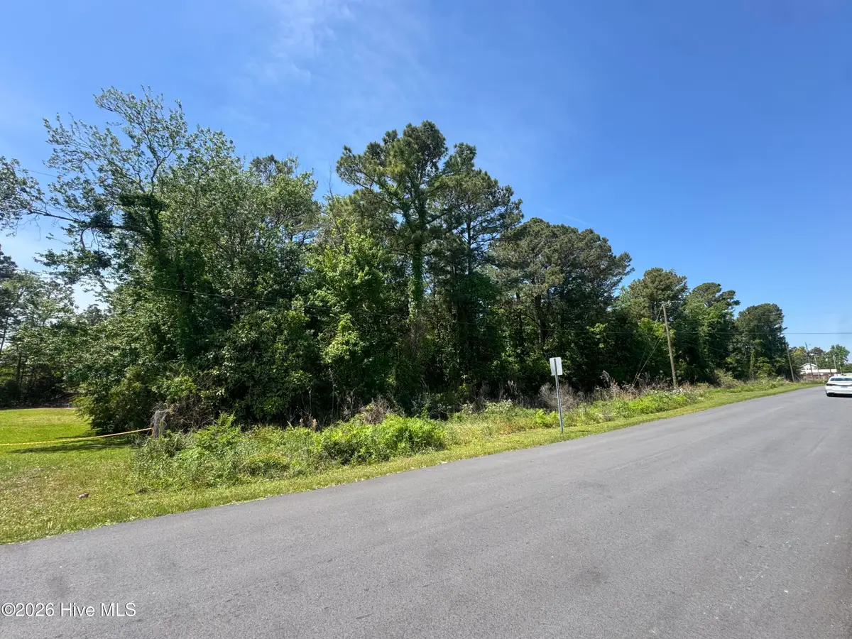 308 Borroughs Road, Holly Ridge, NC 28445 - #1