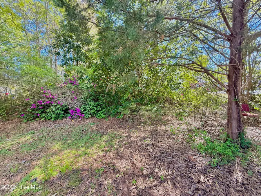 513 E Main Street, Plymouth, NC 27962 - #3