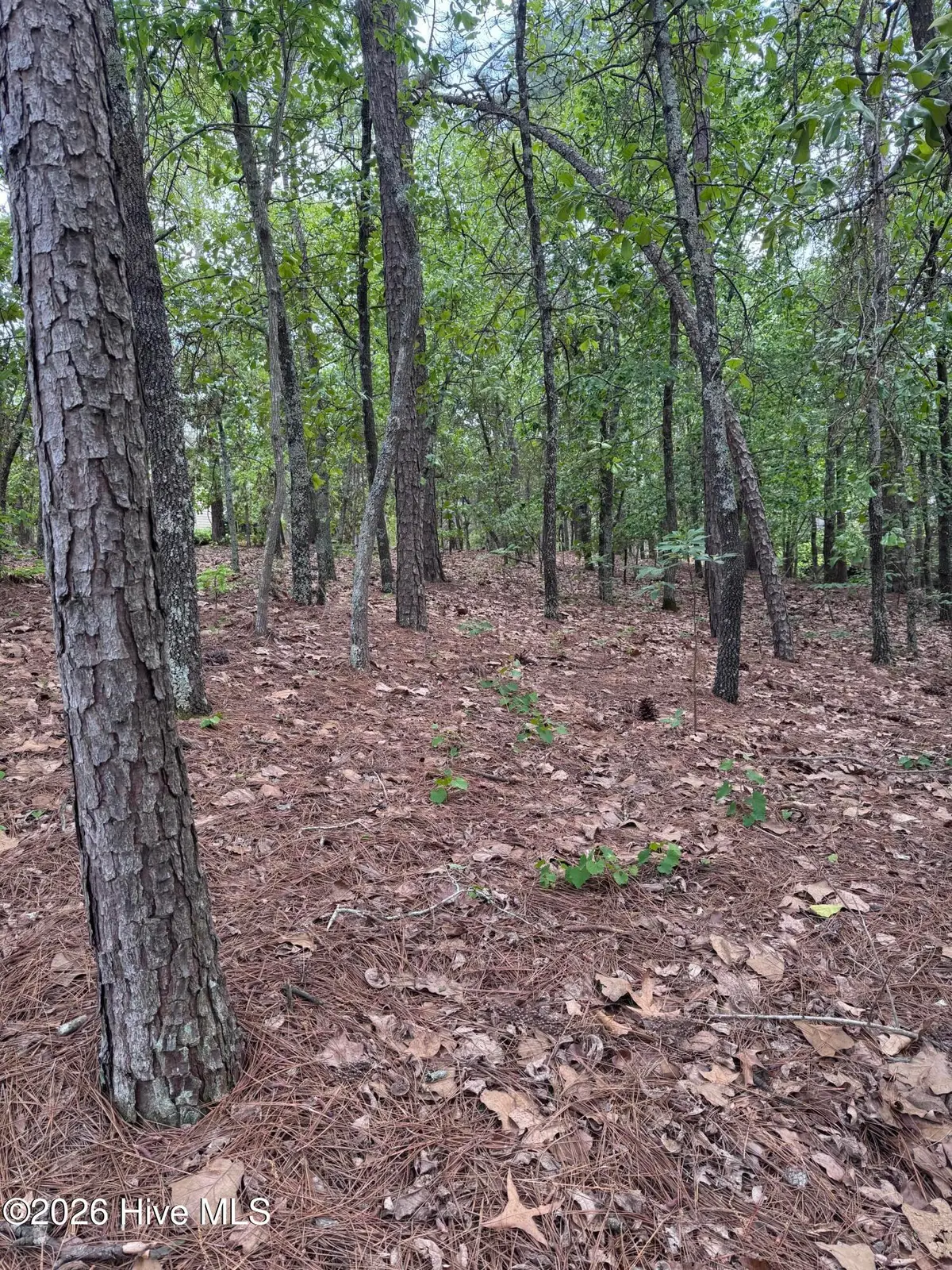148 Otter Drive, Seven Lakes, NC 27376 - #1
