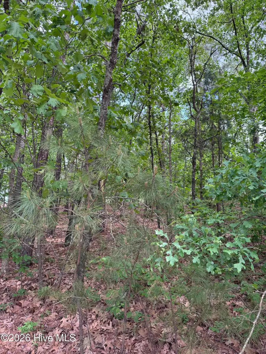 148 Otter Drive, Seven Lakes, NC 27376 - #2