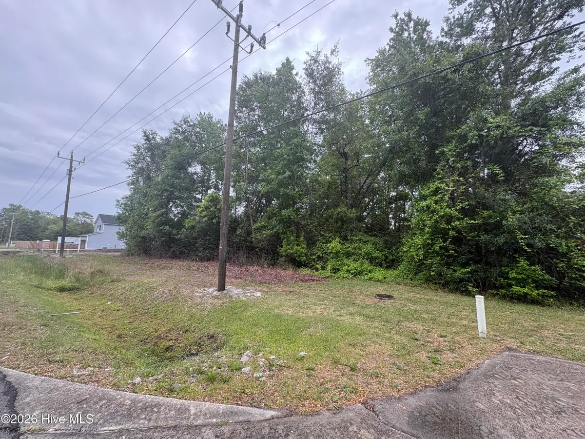 1215 Old Fayetteville Road Ne, Leland, NC 28451 - #1