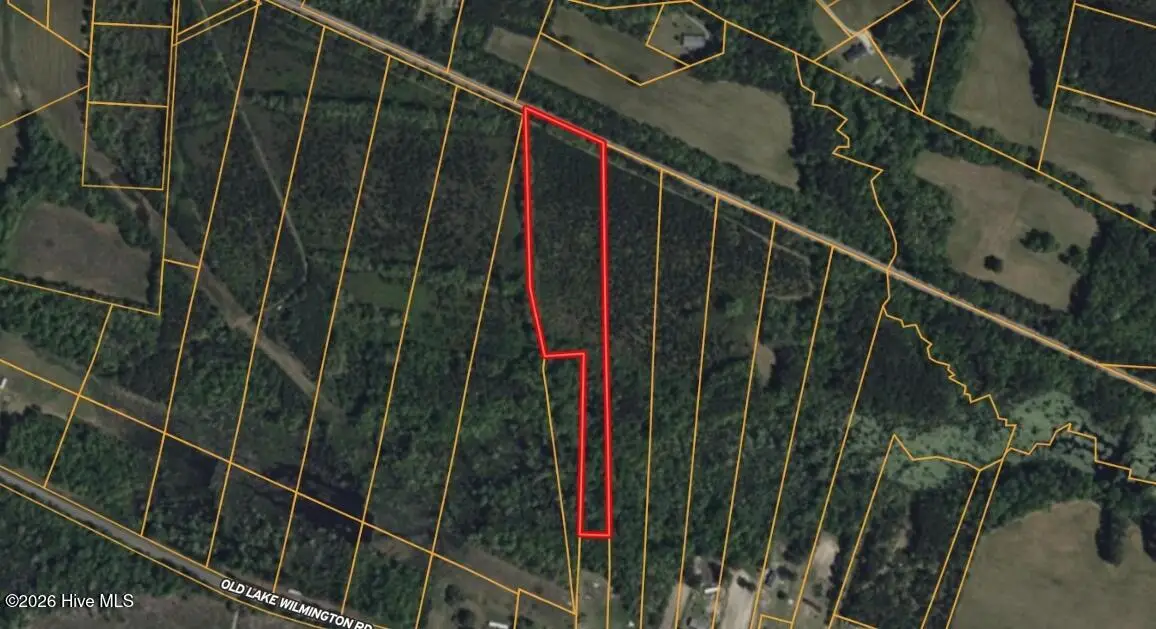 0 Near 11835 Old Lake, Riegelwood, NC 28456 - #1
