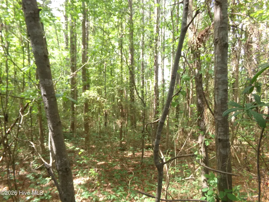 0 Pages Lake Road, Saint Pauls, NC 28384 - #2