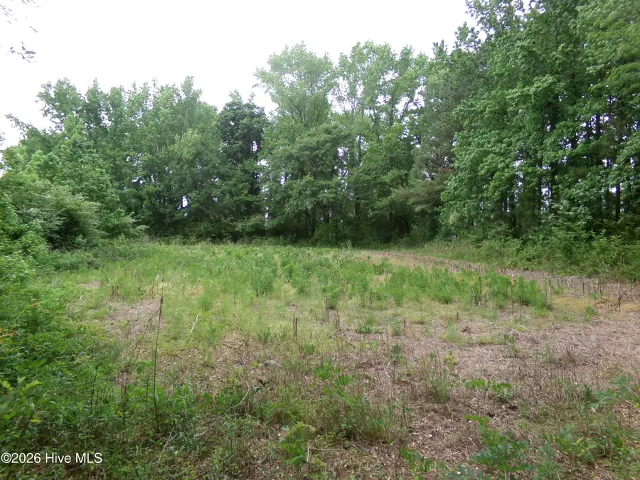 0 Pages Lake Road, Saint Pauls, NC 28384 - #3