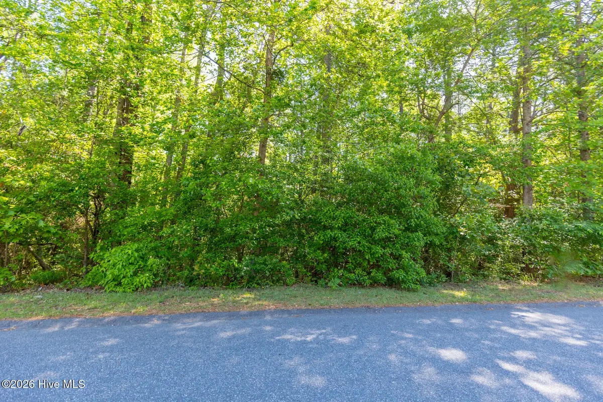 305 Kingswood Circle, Pinehurst, NC 28374 - #1