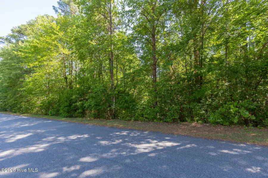 305 Kingswood Circle, Pinehurst, NC 28374 - #3