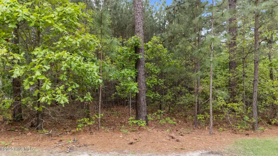 113 Baker Circle, West End, NC 27376 - #2