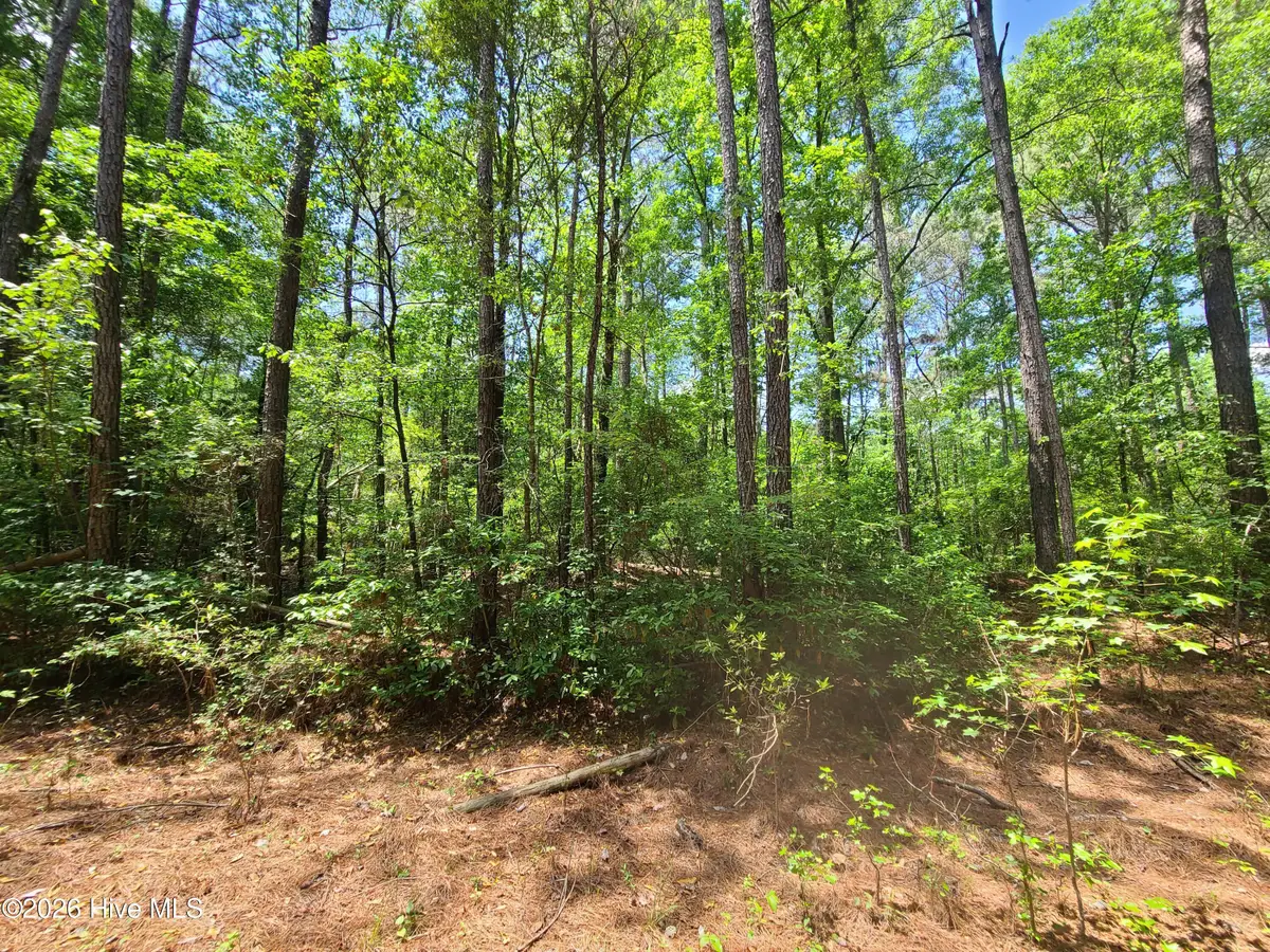 55 Mable Street, Kinston, NC 28504 - #1