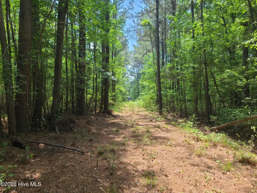 55 Mable Street, Kinston, NC 28504 - #3
