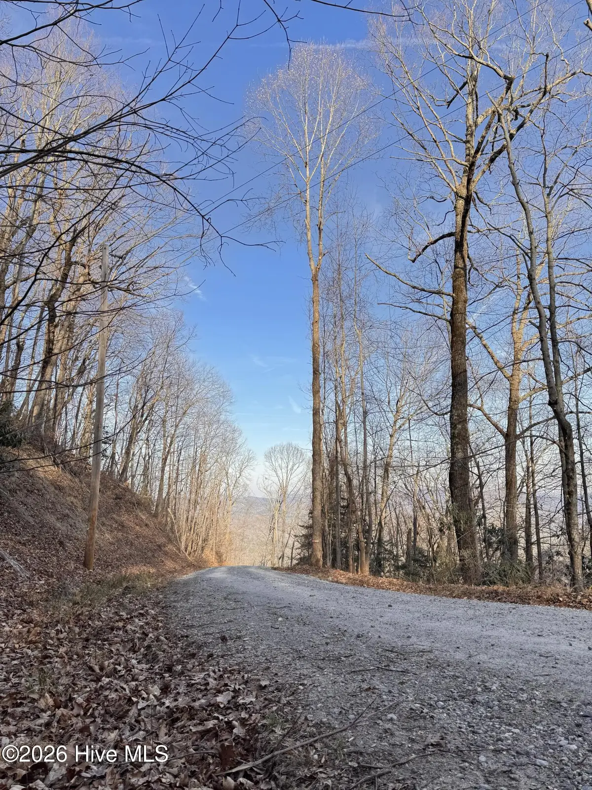 16 & 17 Ridgecrest Drive, Lake Lure, NC 28746 - #1