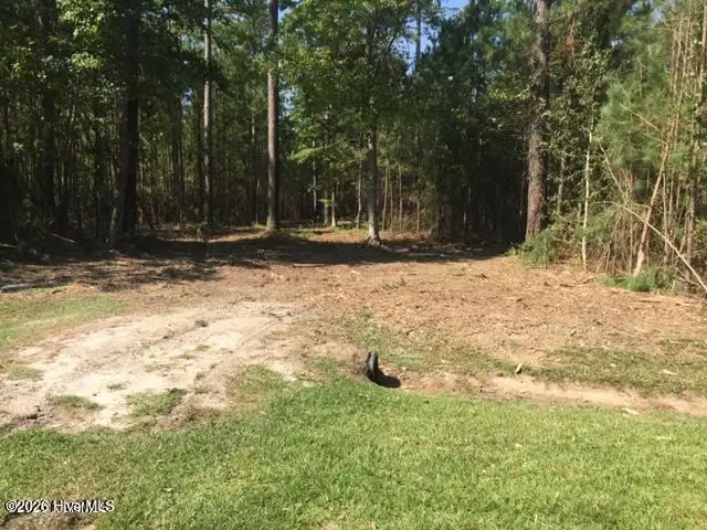 2421 Bailey Point Drive, Belhaven, NC 27810 - #2