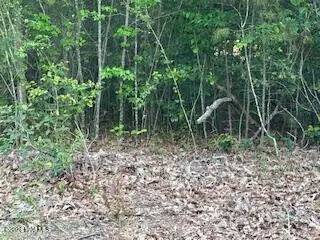 125 Mockingbird Lane, Hollister, NC 27844 - #1