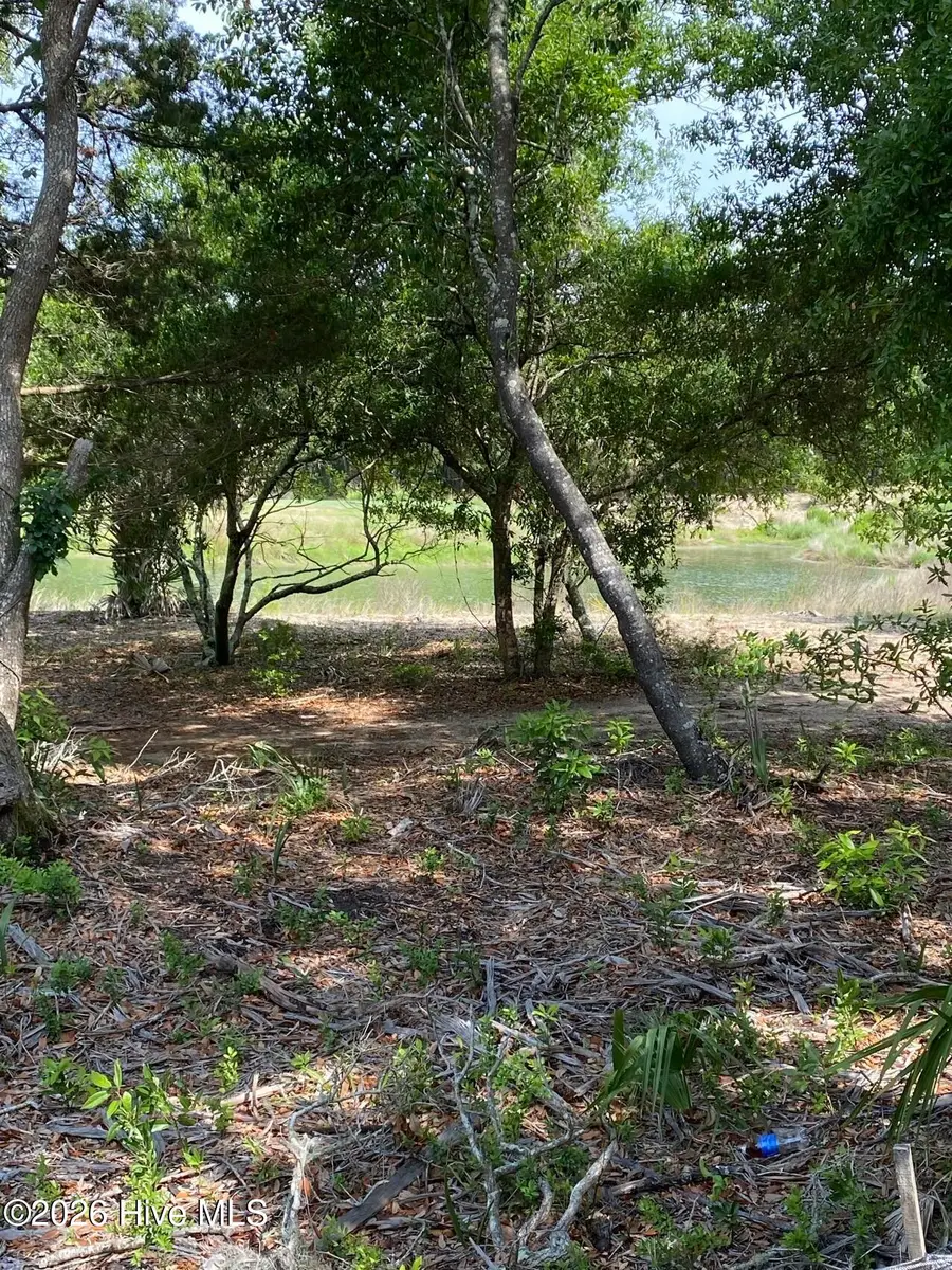 17 Sandwich Tern Trail, Bald Head Island, NC 28461 - #2