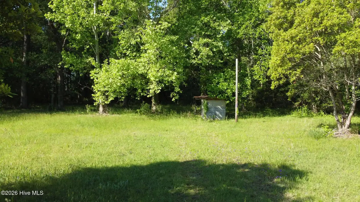 206 Pocosin Road, Washington, NC 27889 - #1