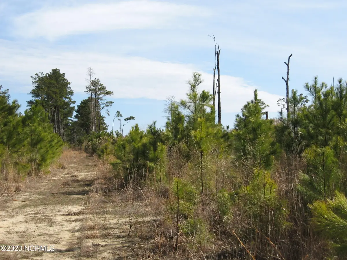 4161 Caratoke Highway, Barco, NC 27917 - #1
