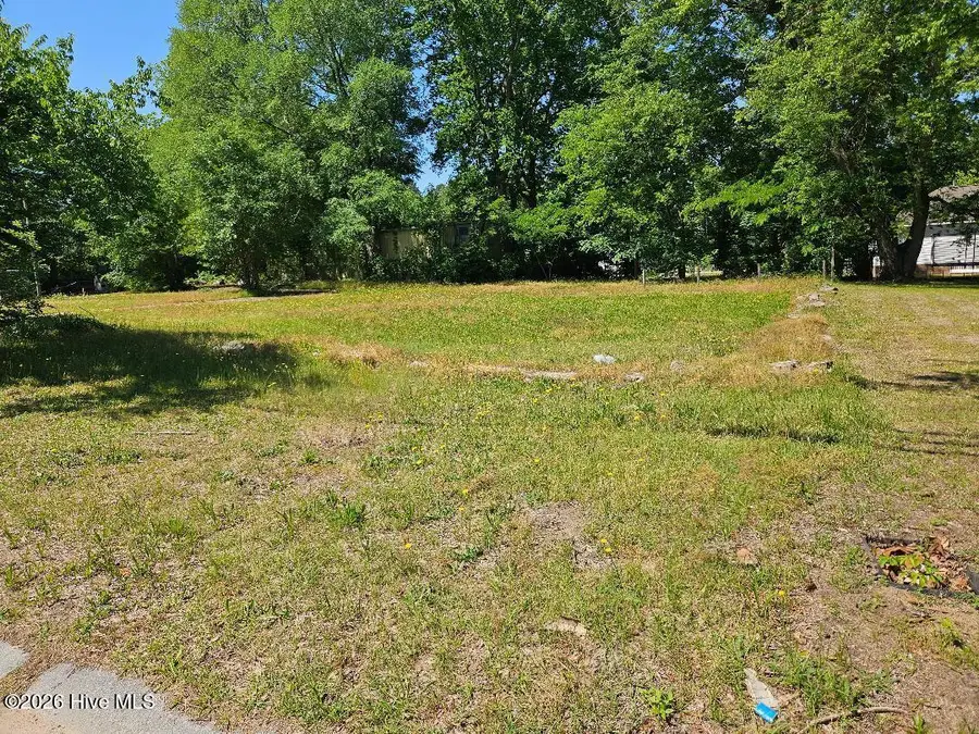 308 Howard Street, Princeville, NC 27886 - #2