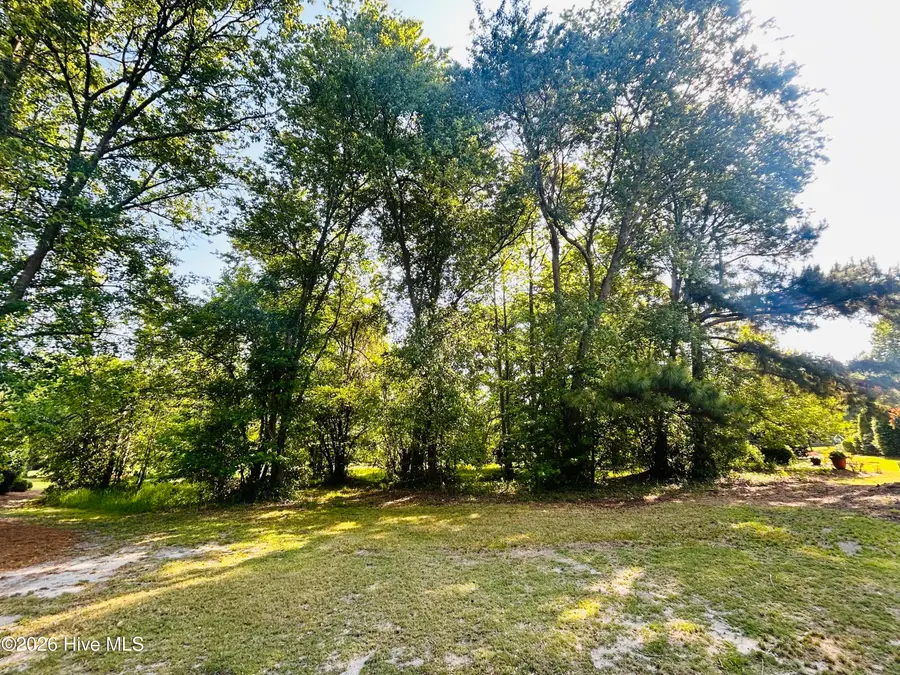 136 Sugar Maple Court, Wallace, NC 28466 - #2